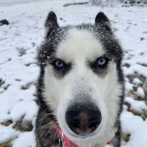 Meet your Posher, Beatriz